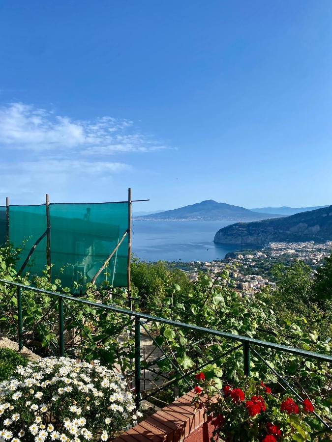 Villa Monica B&B Sorrento Exteriör bild