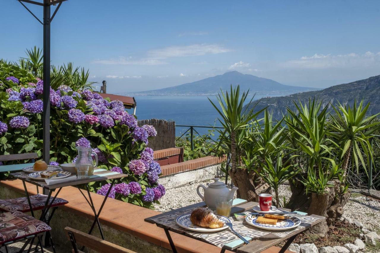 Villa Monica B&B Sorrento Exteriör bild